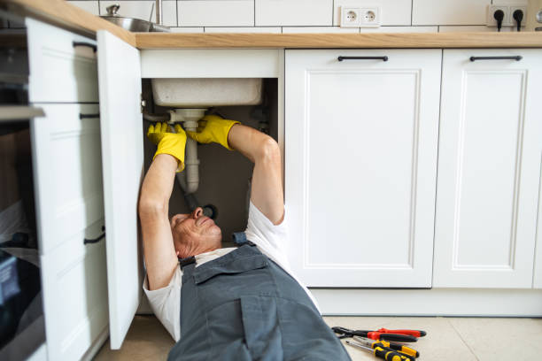 Best Local Plumber Services  in Bountiful, UT